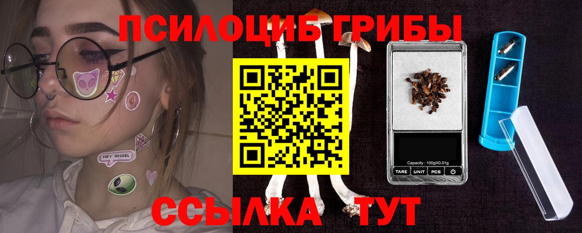 Галлюциногенные грибы ЛСД Можга
