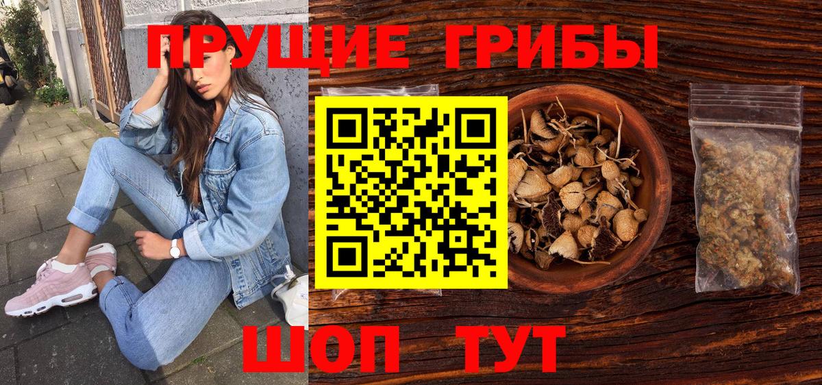 Можга  Псилоцибиновые грибы Cubensis  закладки  Вход с VPN 